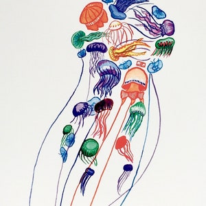 Colourful Jellyfish Greeting Card / Many Mini Jelly / Marine Invertebrates / Marine Life / Stationary image 5