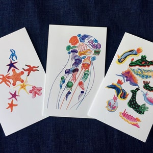 Colourful Jellyfish Greeting Card / Many Mini Jelly / Marine Invertebrates / Marine Life / Stationary image 7