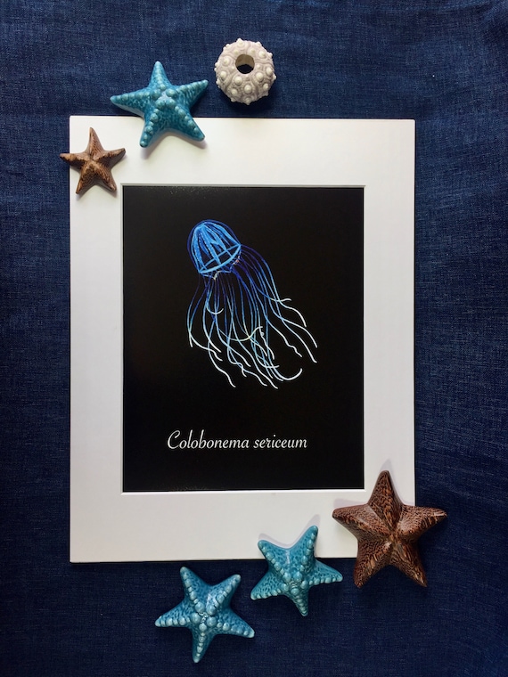 Jellyfish Silky Medusa Art Print / Hydrozoan / Bathypelagic Animal