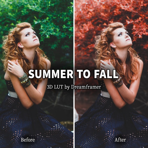 Creative LUT Summer to Fall - Film LUT, Adobe Premiere Pro LUT, Video Editing Filter for Final Cut Pro, Video Preset for DaVinci Resolve