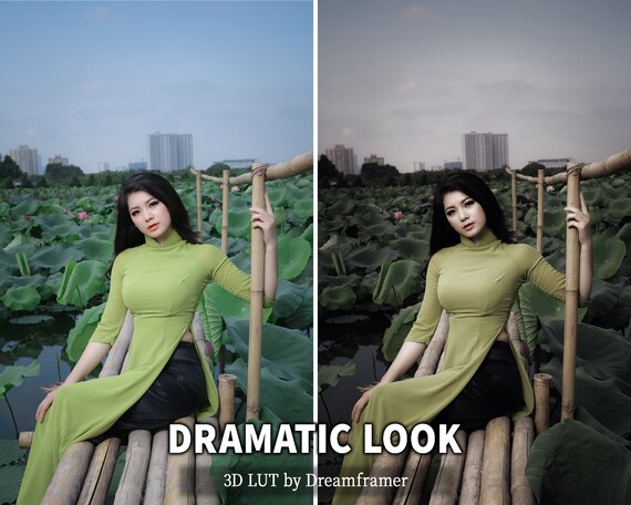 Creative Lut Dramatic Look Premiere Pro Color Grading Lut Etsy