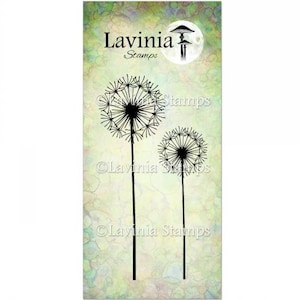 Pissenlits féeriques par Lavinia Timbres