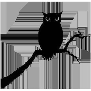 Owl by Lavinia Stamps