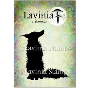 Ash by Lavinia Stamps
