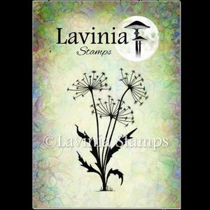 Dente di leone 2 di Lavinia Stamps