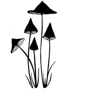 Champignons fins (miniatures) par Lavinia Stamps