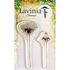 Dente di leone aperto di Lavinia Stamps