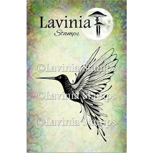 Beija-flor (grande) por Lavinia Stamps