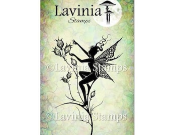 Aurora by Lavinia Stamps
