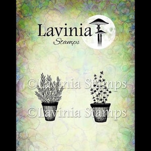 Rozemarijn- en tijmpotstempel van Lavinia Stamps