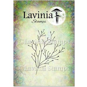 Klein takje van Lavinia Stamps