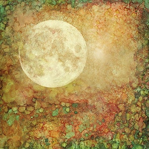 SceneScapes、Bliss by Lavinia Stamps