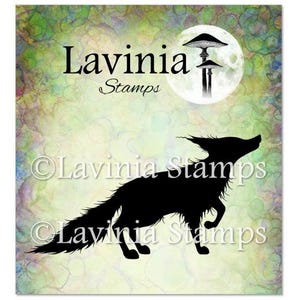 Bandit by Lavinia Stamps