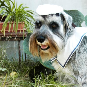 Sailor Cap for Your Cat Sailor Cat for Your Pet or Dog - Etsy