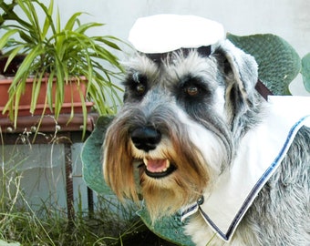 Dog navy hat & collar Sailor's beret Navy dog wedding outfit Nautical cat uniform Captain's hat for special occasions, Valentine's gift pet