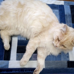 Patchwork denim cat bed, Recycled jeans mat for small dog, Upcycled eco-friendly pillow, Repurposed floor carpet, Christmas gift