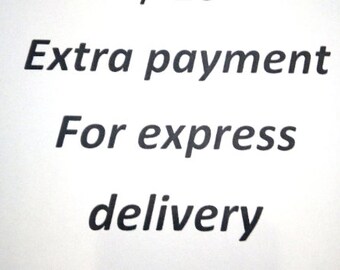 Extra payment for express delivery UPS Express shipment FedEx shipment
