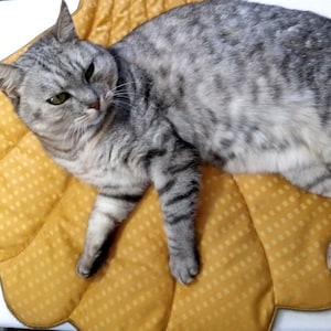 May include: A gray tabby cat resting on a golden yellow, scalloped-edge cushion. The cat has green eyes and is lying down, with its paws extended. The cushion has a quilted pattern.