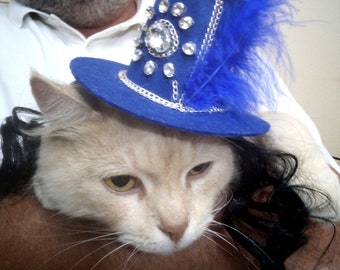 Blue top hat for cat, Party hat with clear rhinestones & wig, Aristocrat costume for a small dog, Birthday hat, Valentine's gift pet