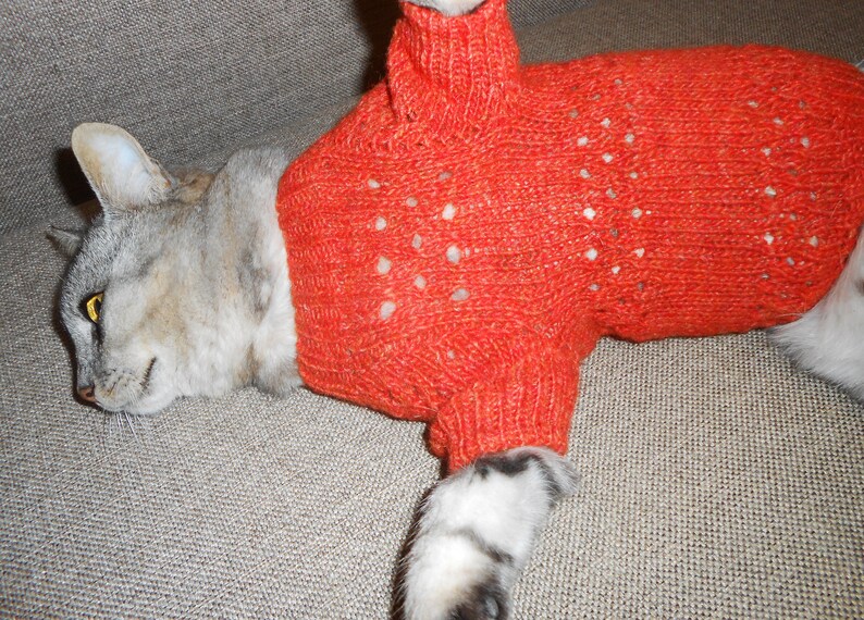 orange cat sweater