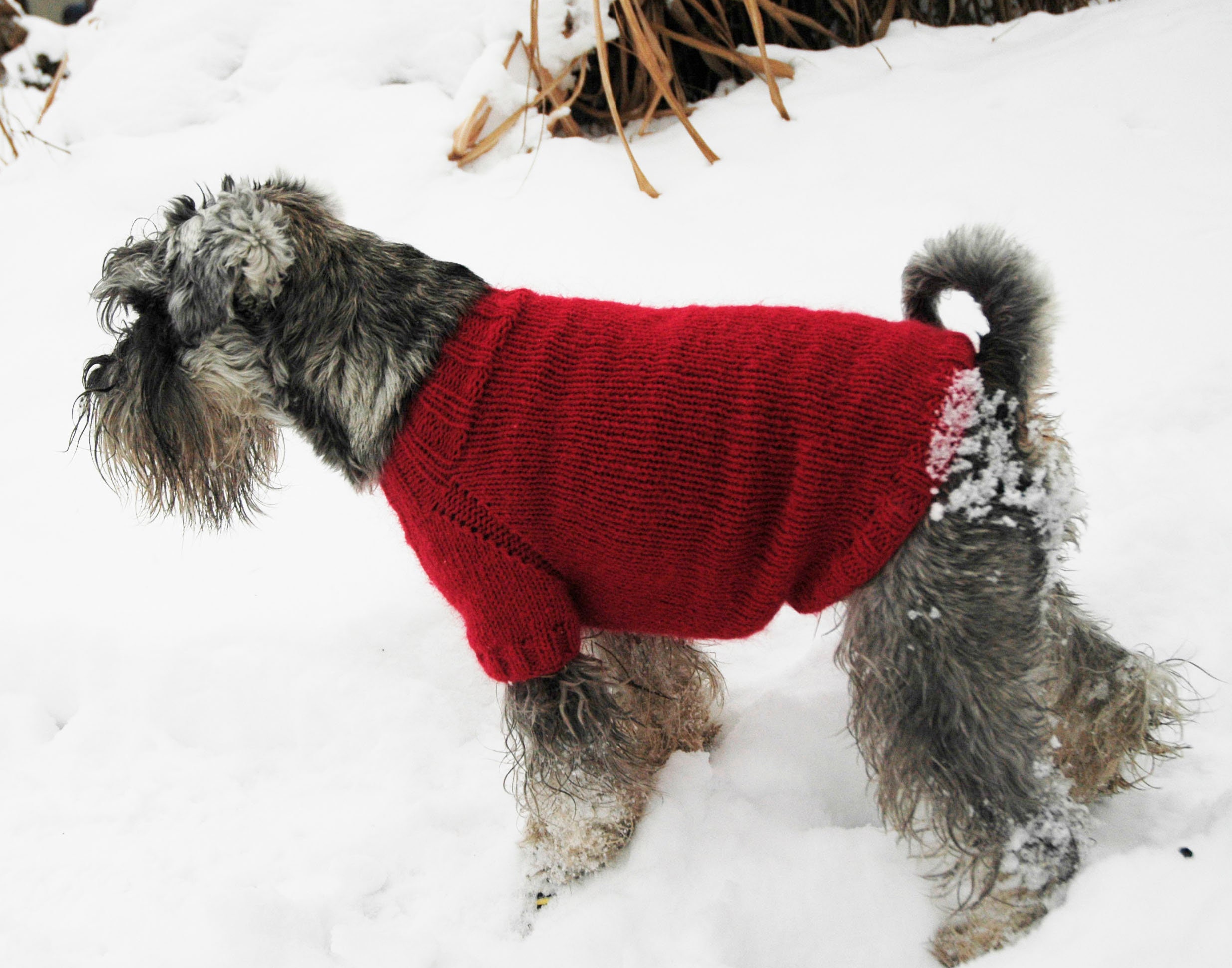 Handgestrickt Pullover für kleine Hunde Rot flauschig Mohair Etsy
