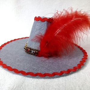 Gray musketeer hat for cat, Party hat with rhinestones & red feather for small dog, Aristocrat costume for pet, Cute Christmas gift for pet
