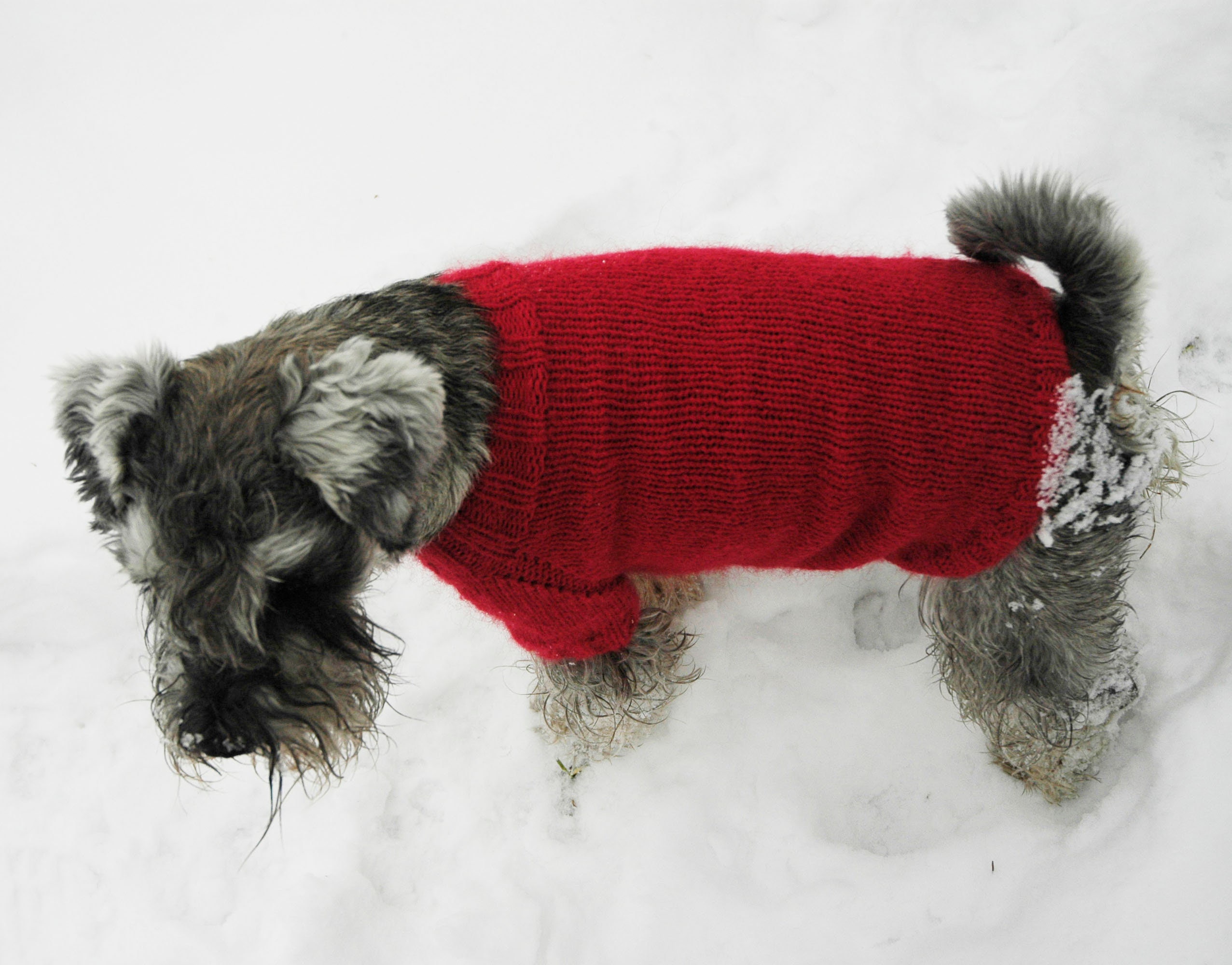 Handgestrickt Pullover für kleine Hunde Rot flauschig Mohair Etsy