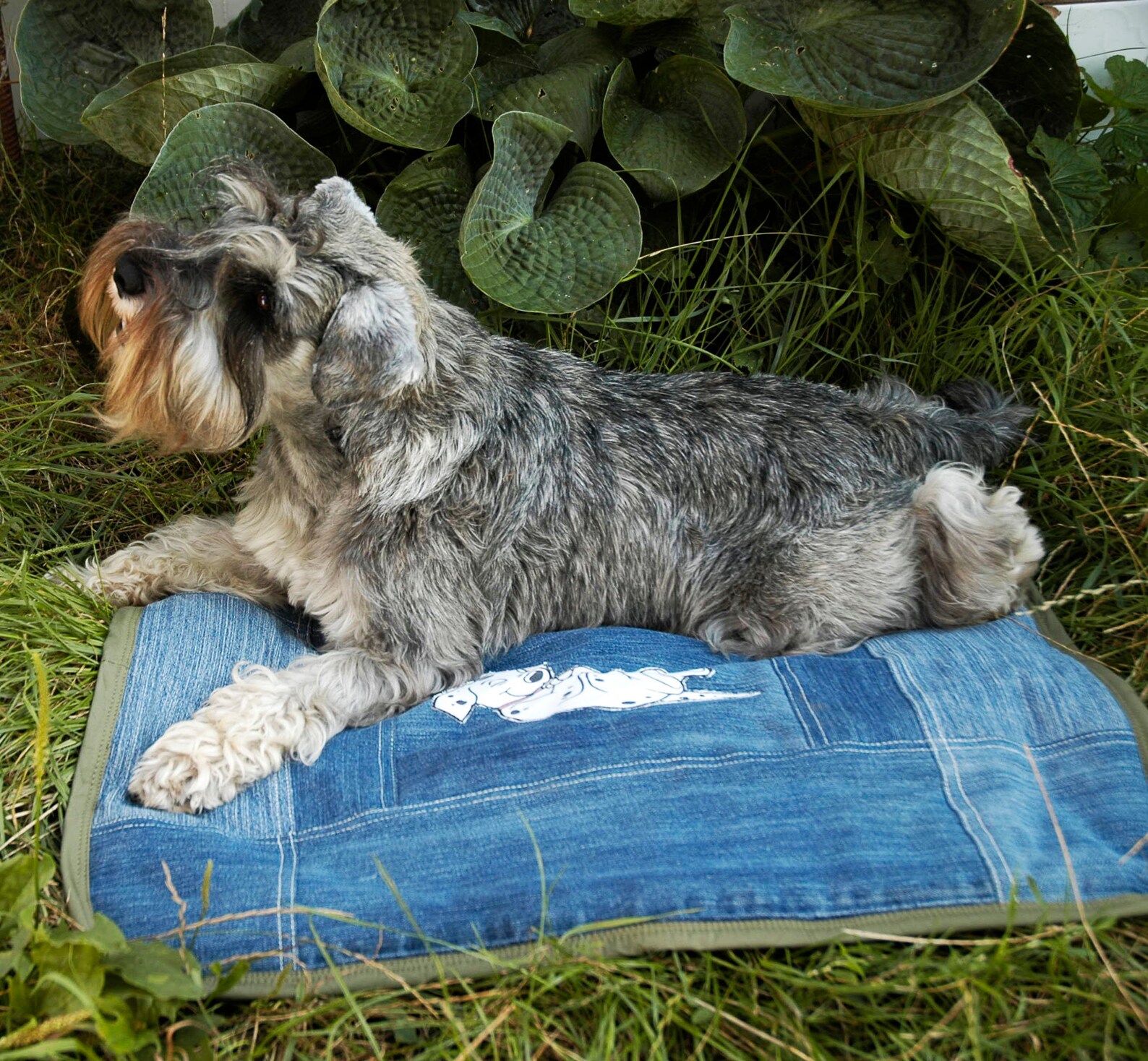 Patchwork Denim Dog Bed Recycled Jeans Cat Mat Quilted Etsy