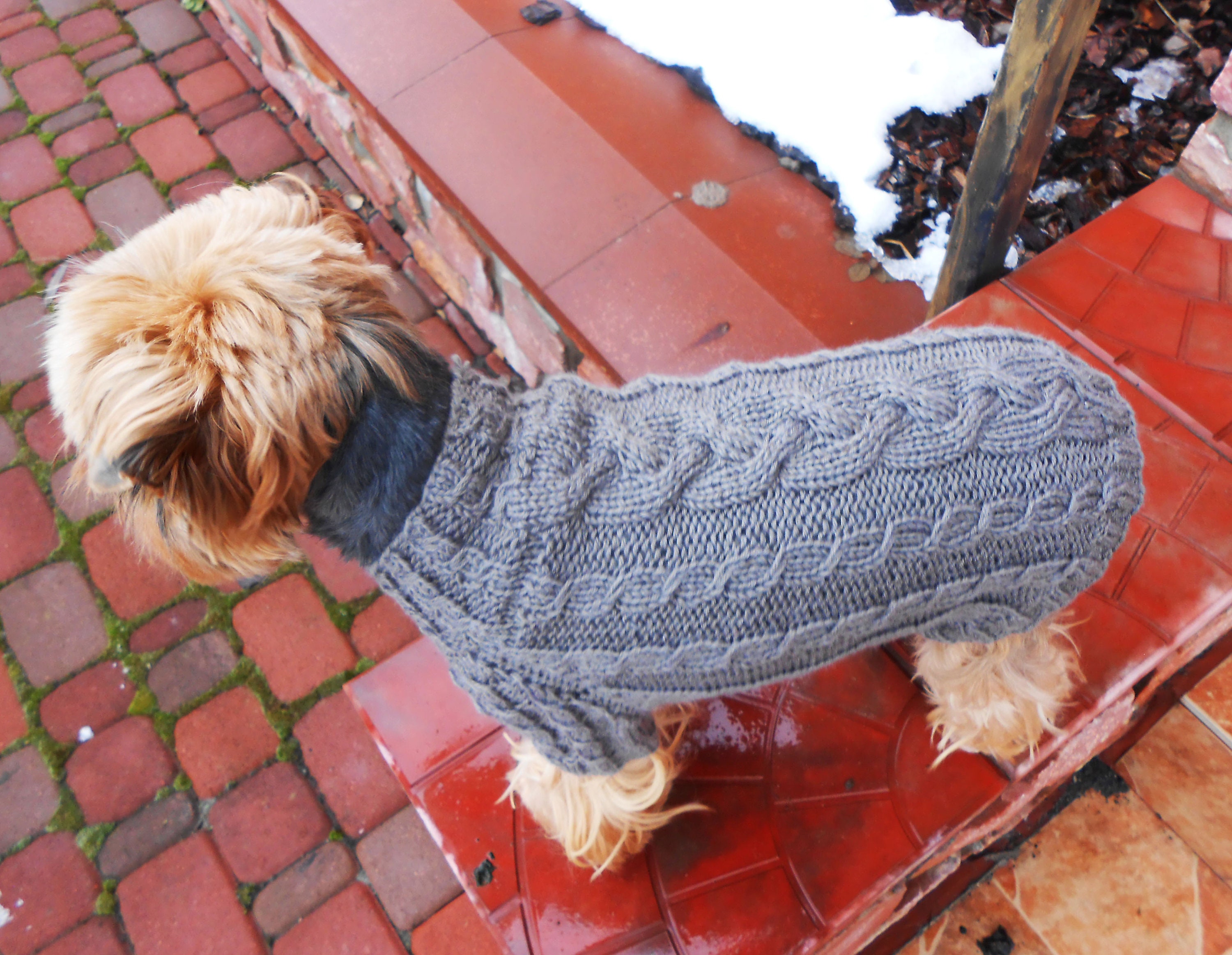 Custom Hand Knit Sweater for Yorkie Warm Gray Pullover for Etsy