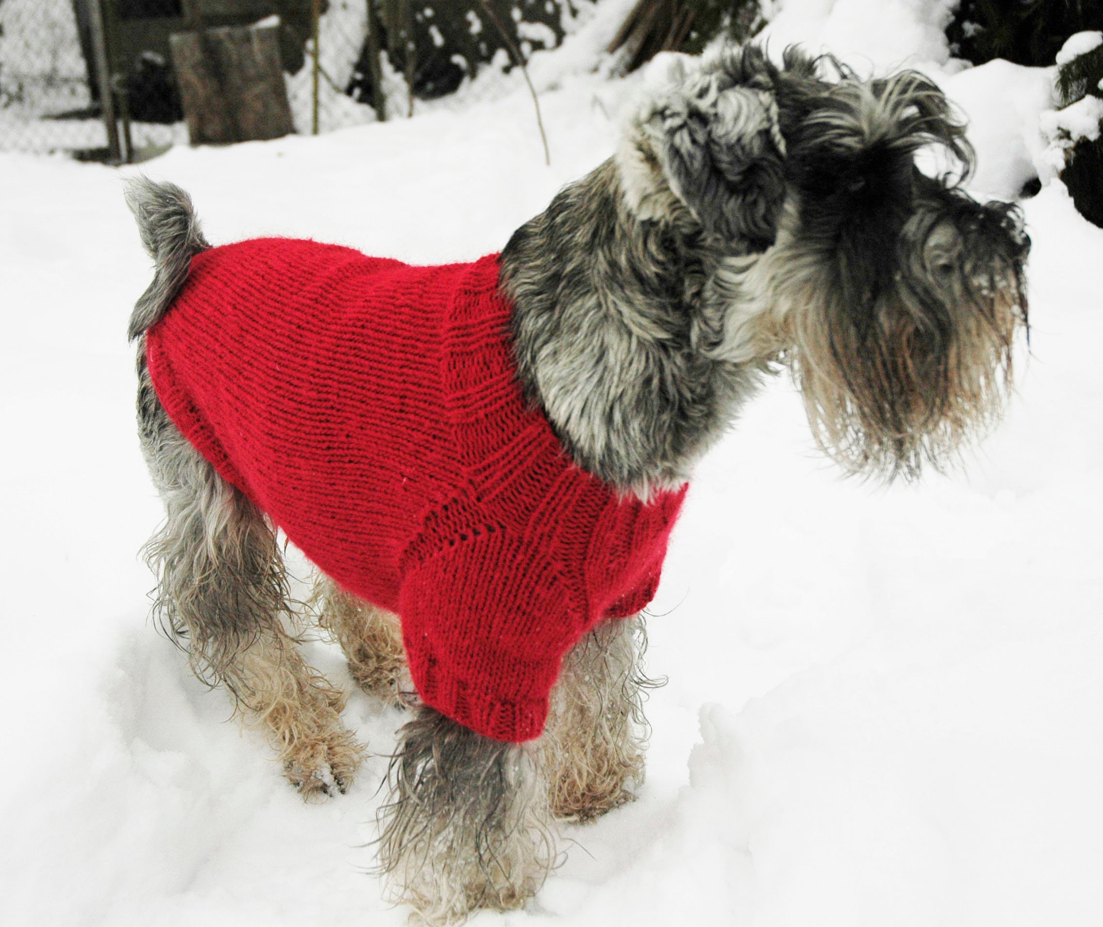 Handgestrickt Pullover für kleine Hunde Rot flauschig Mohair Etsy