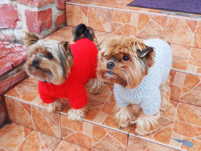 Red mohair sweater for yorkie Custom knit winter pullover for Etsy