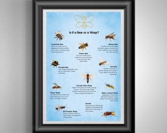 Enchanting Honey Bee Art Print: Unframed Wall Decor for Nursery, Home & Gifts - Bumble bee artwork Bee or wasp poster
