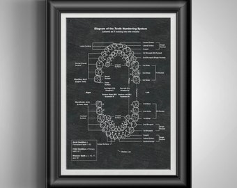 Dental Office Decor: Dentistry gifts for Dentists, Hygienists, Orthodontists, Students & Assistants Unframed