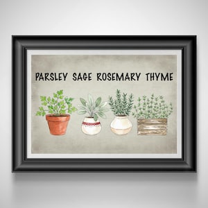 May include: Framed print featuring watercolor illustrations of parsley, sage, rosemary, and thyme in pots. The text "PARSLEY SAGE ROSEMARY THYME" is displayed above the plants. The artwork is set against a neutral background and framed in black.