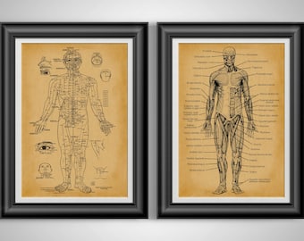 Acupuncture Poster Meridian Poster Acupuncture Art Anatomical Art Human Anatomy Art Chinese Medicine Acupuncture Chart Set of 2 Unframed