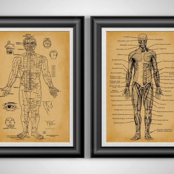 Acupuncture Poster Meridian Poster Acupuncture Art Anatomical Art Human Anatomy Art Chinese Medicine Acupuncture Chart Set of 2 Unframed