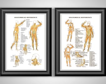 Physical Therapy Gift Set: Medical Student Doctor Therapist Office Decor Unframed