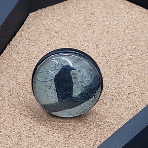 Crow Glass Dome Drawer Pull: Goth Home Decor