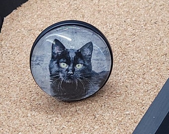 Black Cat Glass Dome Drawer Pull: Goth Home Decor