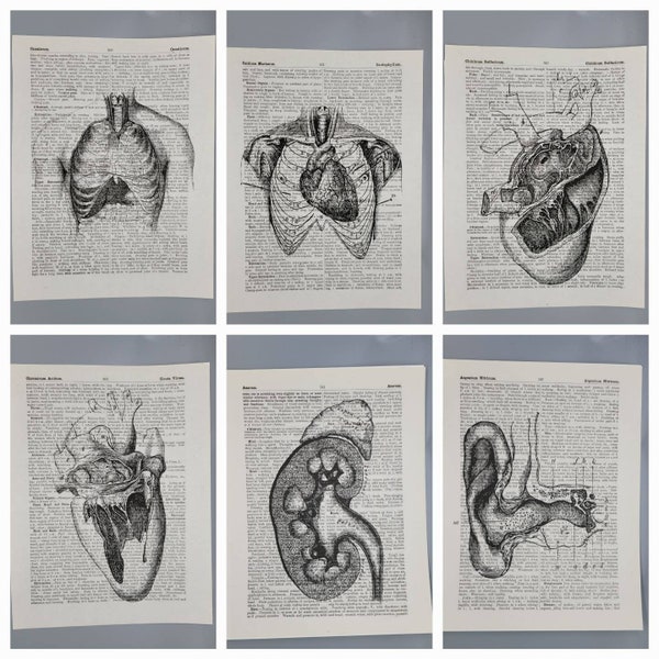 Vintage Style Medical Prints on Vintage Materia Medica Book Pages Doctor Nurse Curiosities Oddities Pharmacy