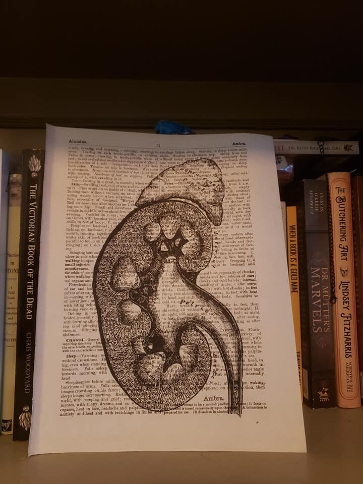 Vintage Style Medical Prints on Vintage Materia Medica Book Etsy