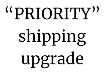 PRIOIRTY shipping queue upgrade! (Incase you want to speed up an OLD order!) *This is not a physical product!!!*