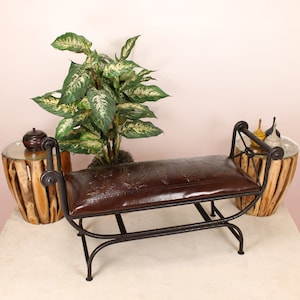 May include: A brown leather bench with an ornate design on the seat. The bench has a black metal frame and is sitting on a white rug. A potted plant with green and white leaves is in the background.