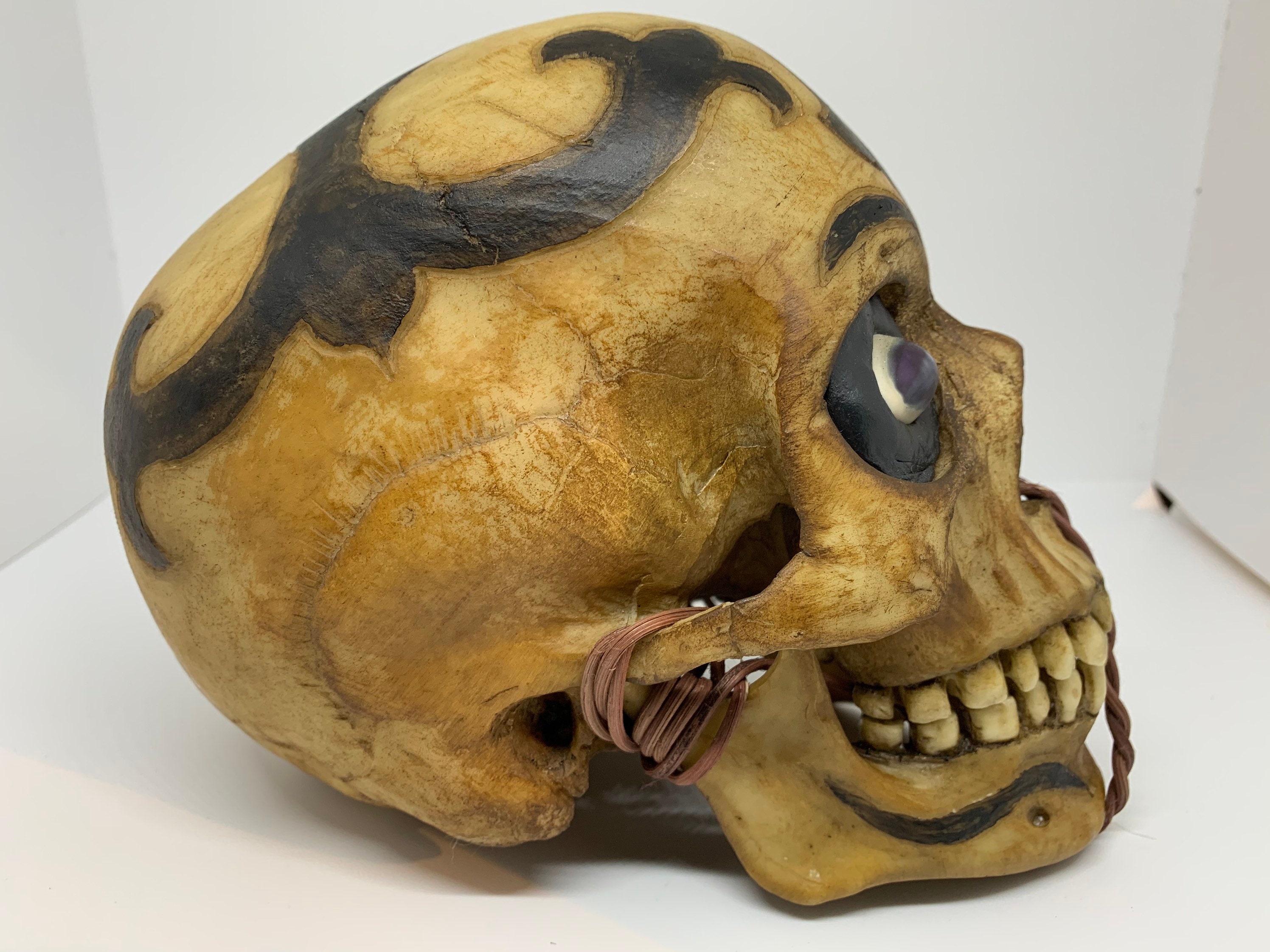 Borneo Headhunter Trophy Skull replica with cowrie shell eyes Borneo Headhunter Trophy Skull replica with cowrie shell eyes