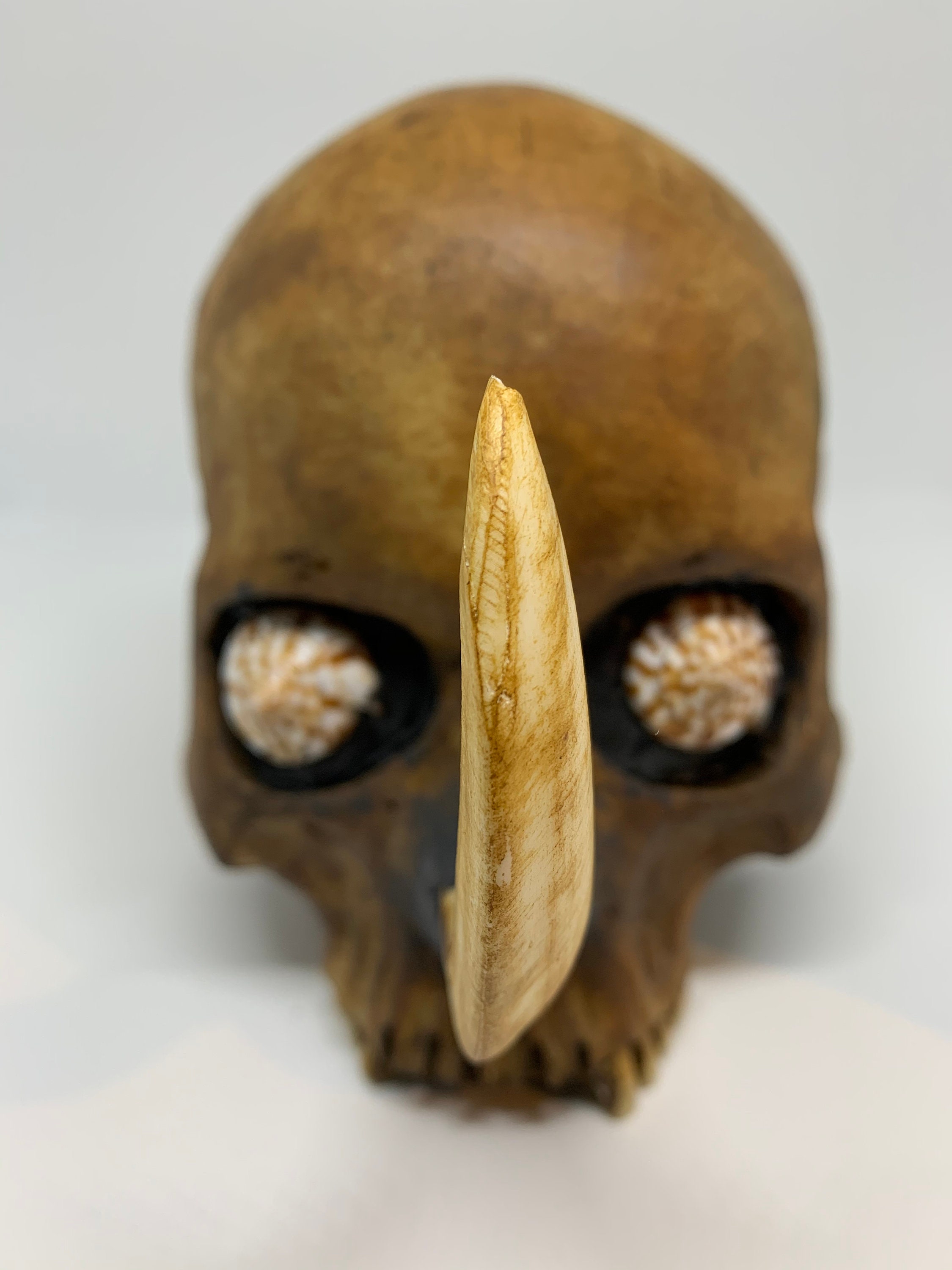 P*u様 蝦夷鹿hunting trophy （deer skull） P*u様 蝦夷鹿hunting trophy （deer skull） 蝦夷鹿hunting