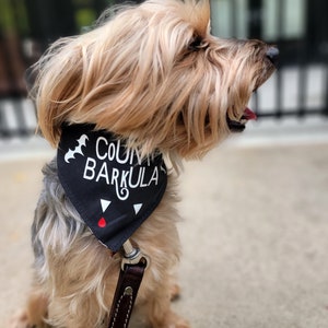 Count Barkula, halloween dog bandanas, count drakula, Halloween dog