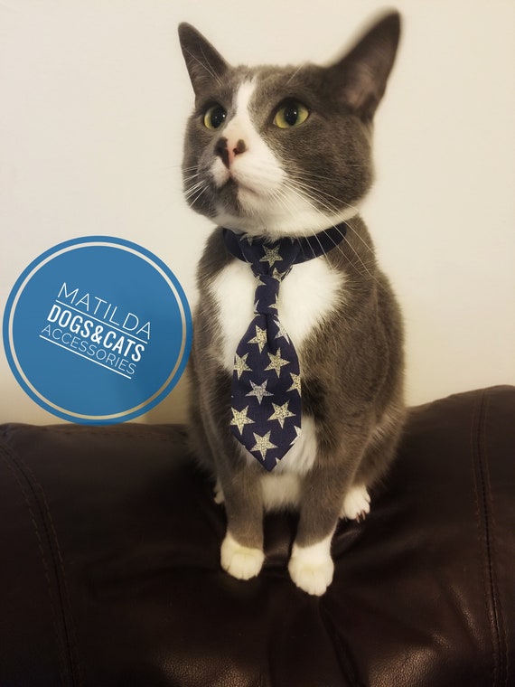 etsy cat tie