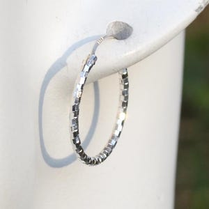 May include: A silver hoop earring with a textured, faceted design. The earring is shown on a white ear model, with a blurred green background.