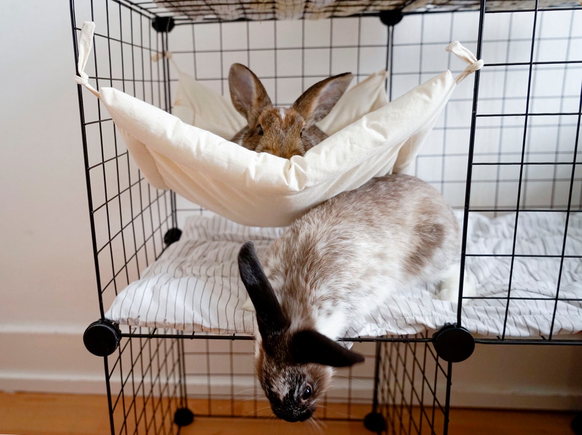 Bunny Hammock for Cage Playpen Crate Bed Mat for Rabbit Rat Etsy Denmark