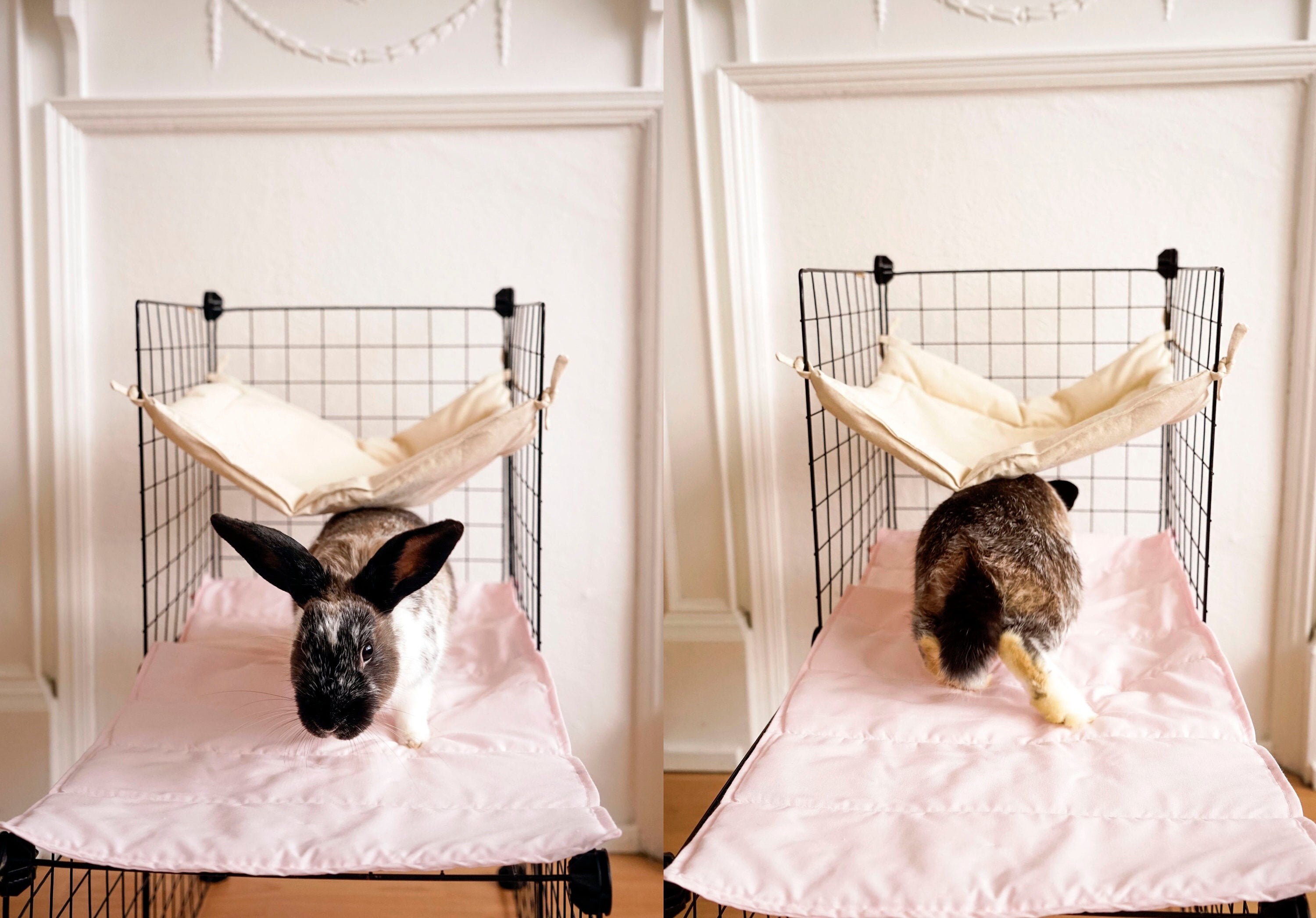 PREORDER Bunny Runner Soft CC Cage Liner Blanket Rabbit Guinea Etsy